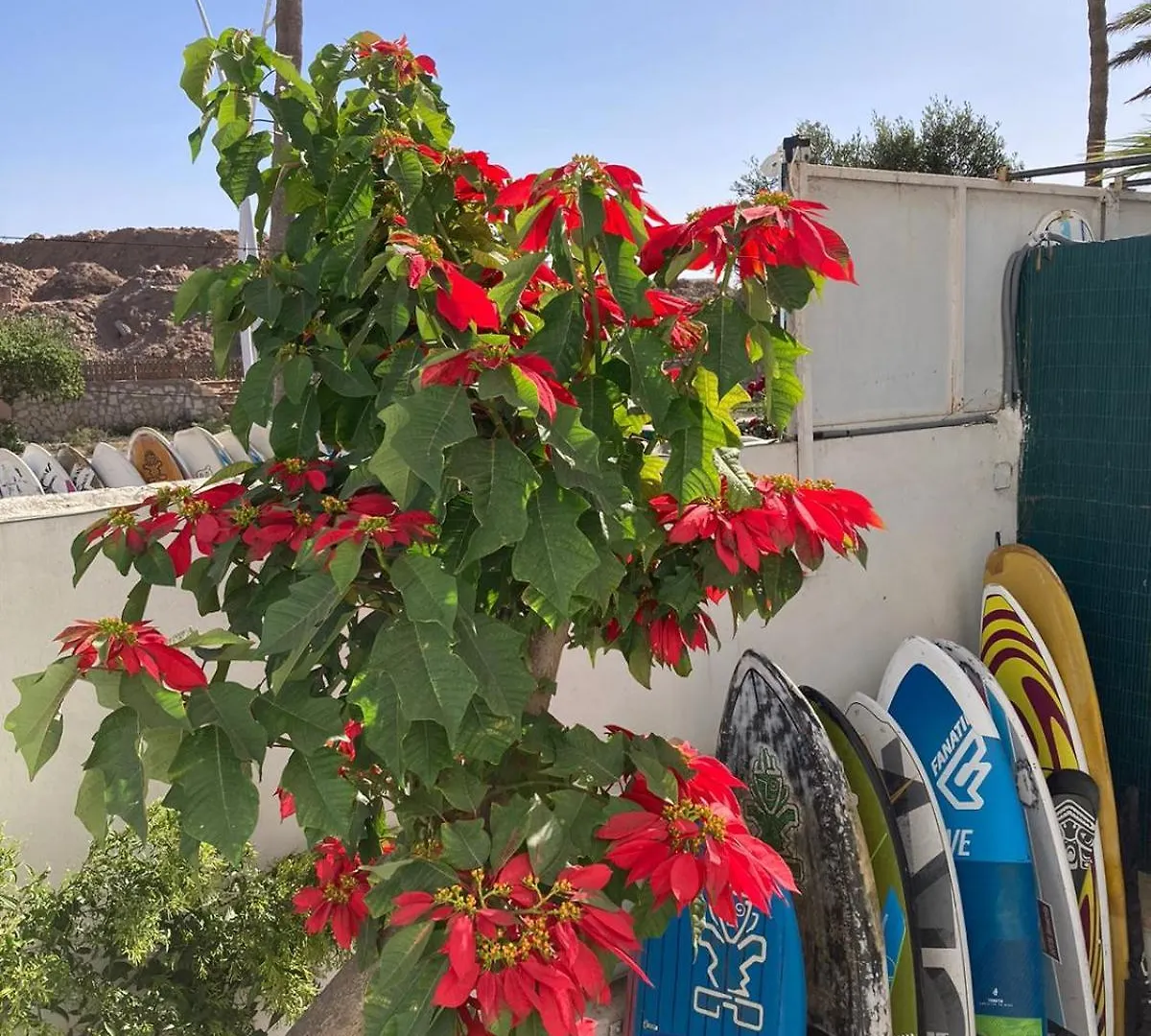 Yousurf Surf House Essaouira