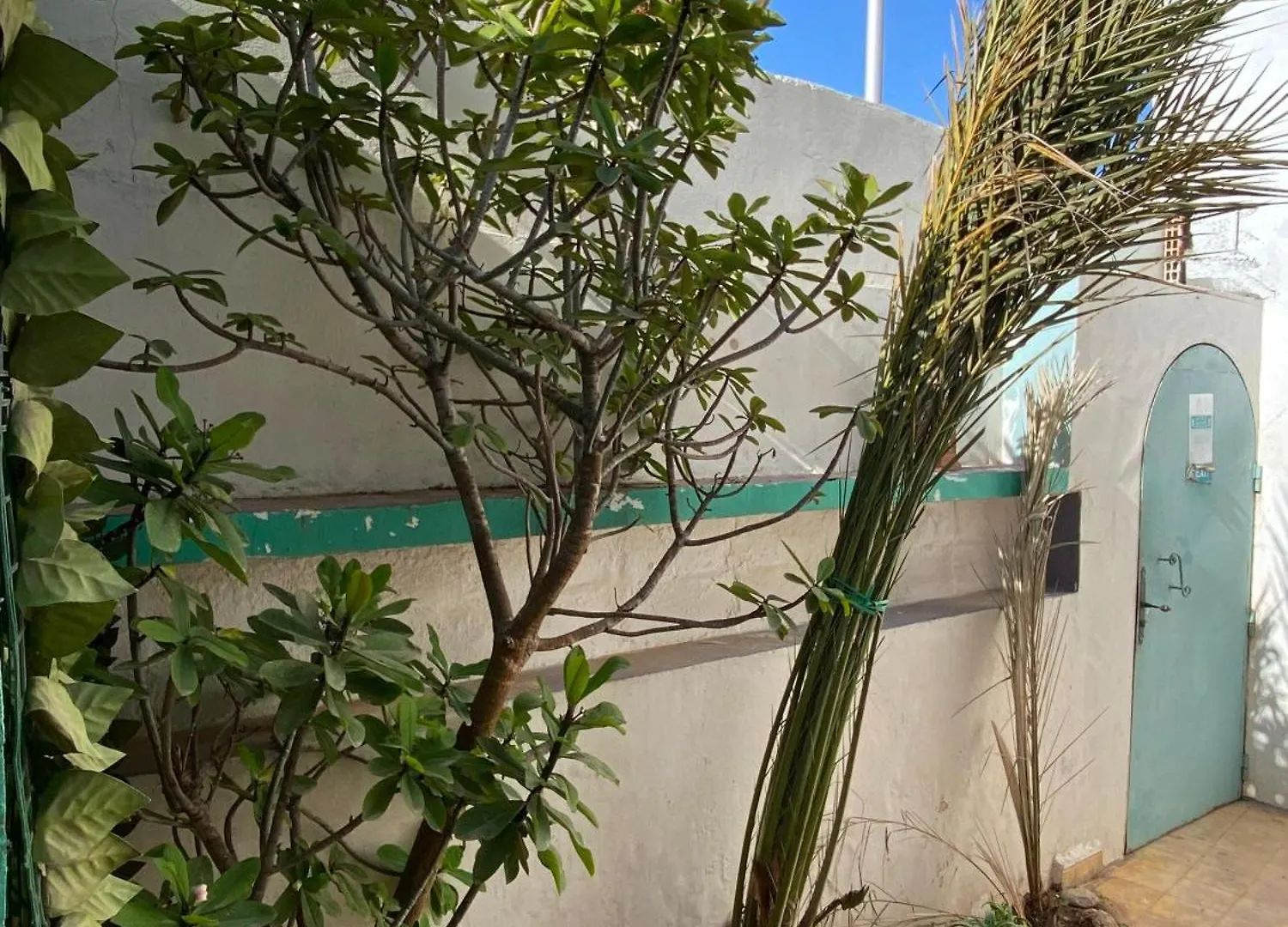 Apartamento Yousurf Surf House Esauira Marruecos