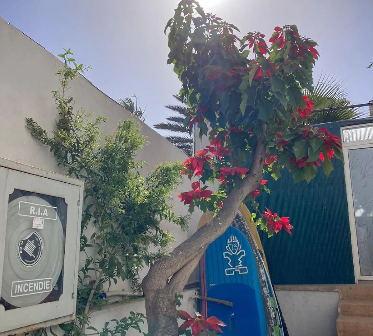 Yousurf Surf House As-Suwajra